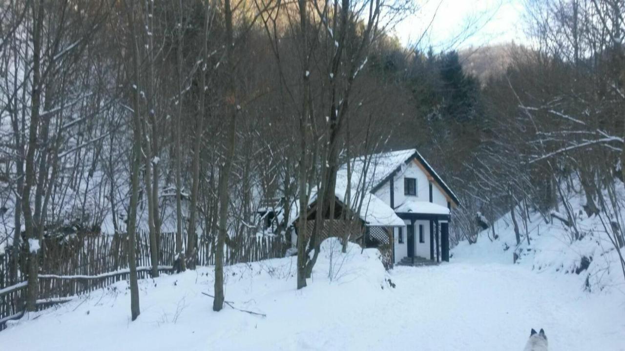 Cabana Crenguta Sibiu Eksteriør bilde