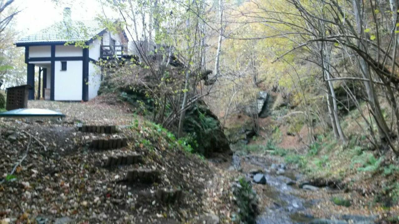 Cabana Crenguta Sibiu Eksteriør bilde