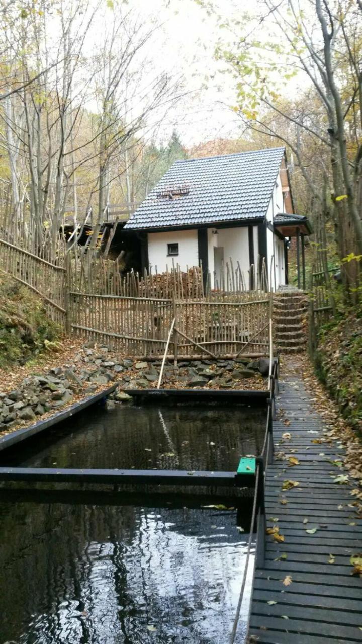 Cabana Crenguta Sibiu Eksteriør bilde