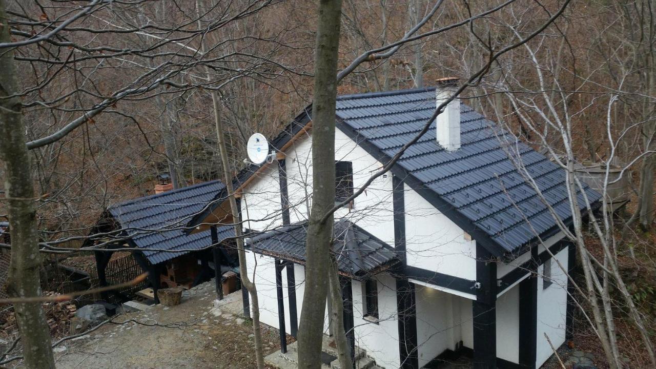 Cabana Crenguta Sibiu Eksteriør bilde